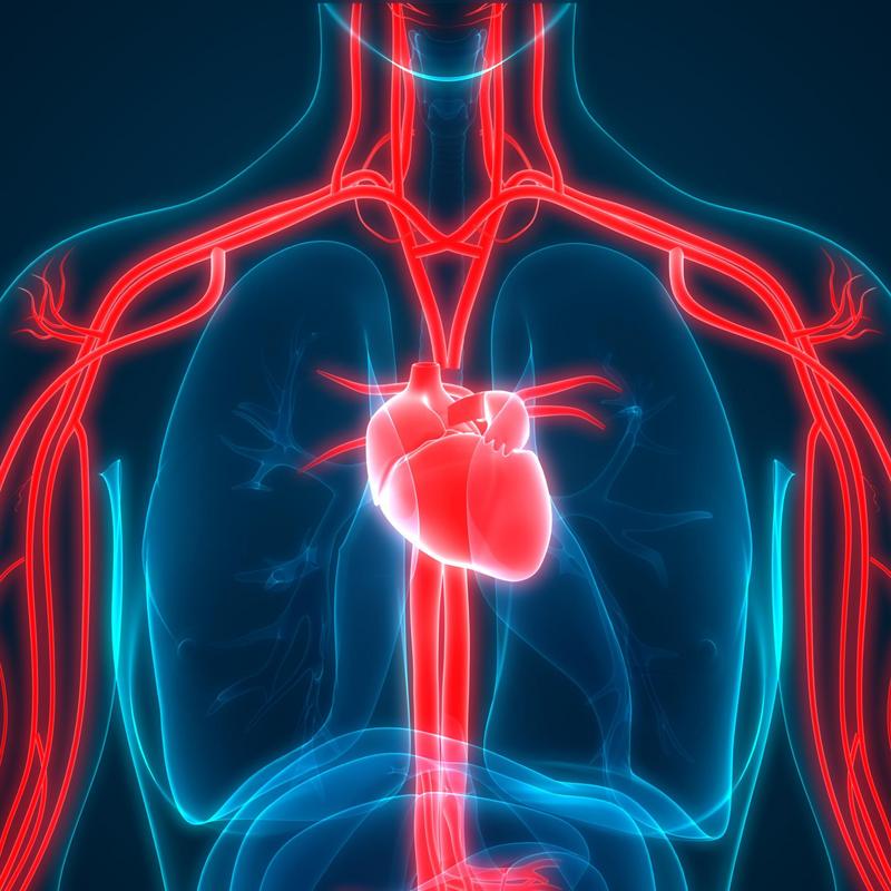 choroby układu krążenia
